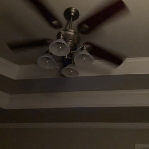 Meet your Posher, Paul